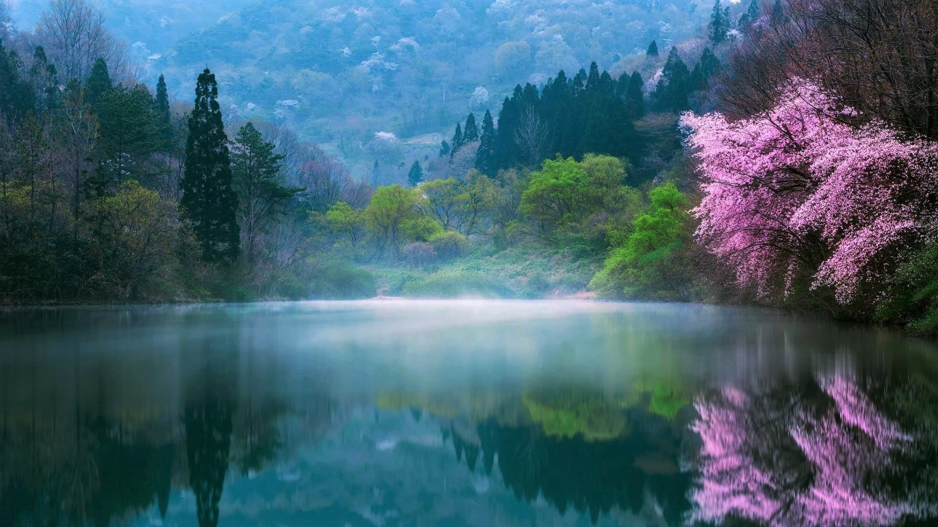 Mystic Lake Reflection: Trees and Fog Embrace Earth’s Serenity