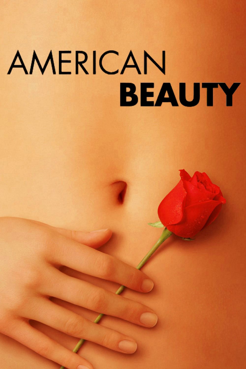 American Beauty Picture