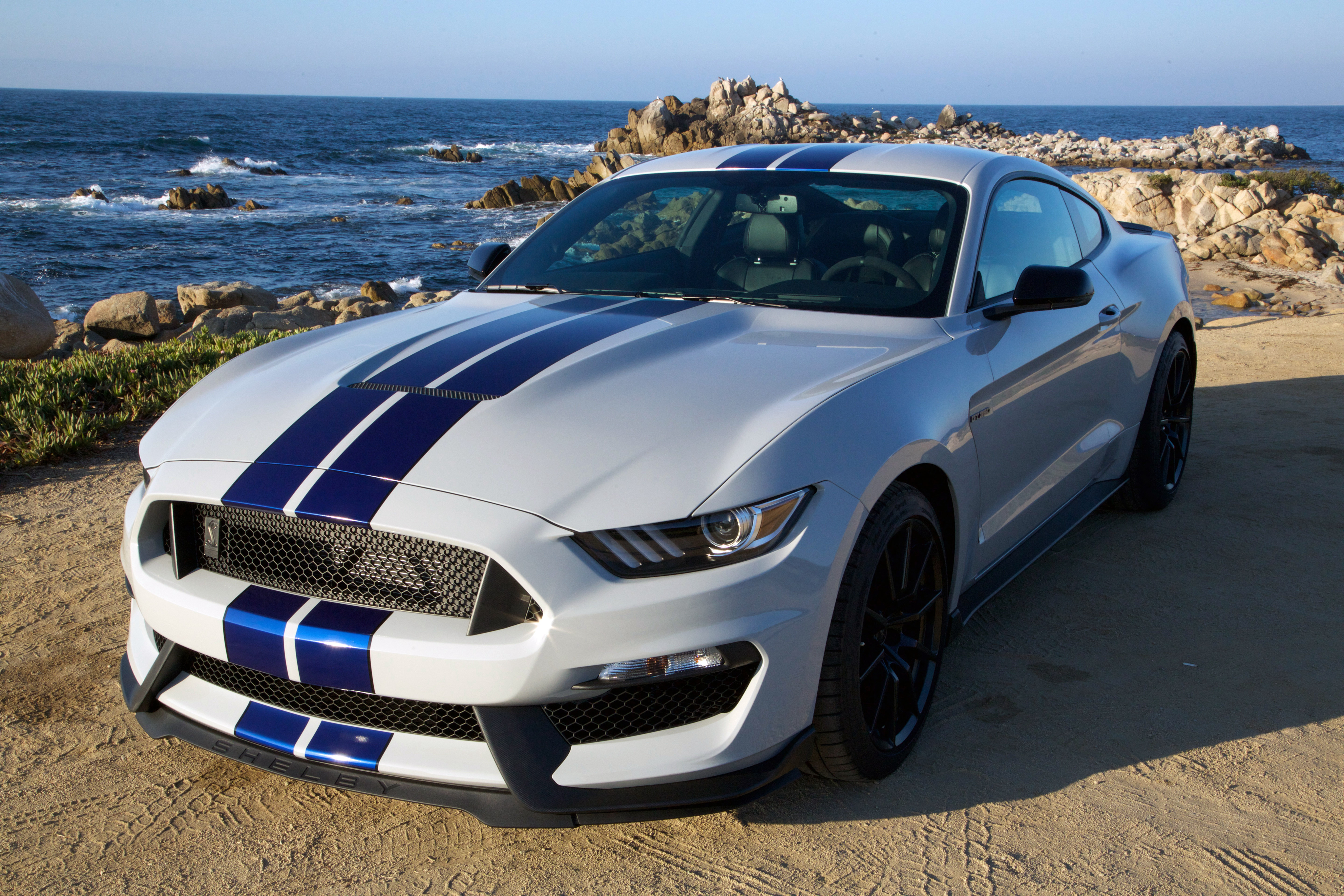 Shelby Mustang GT 350 Picture