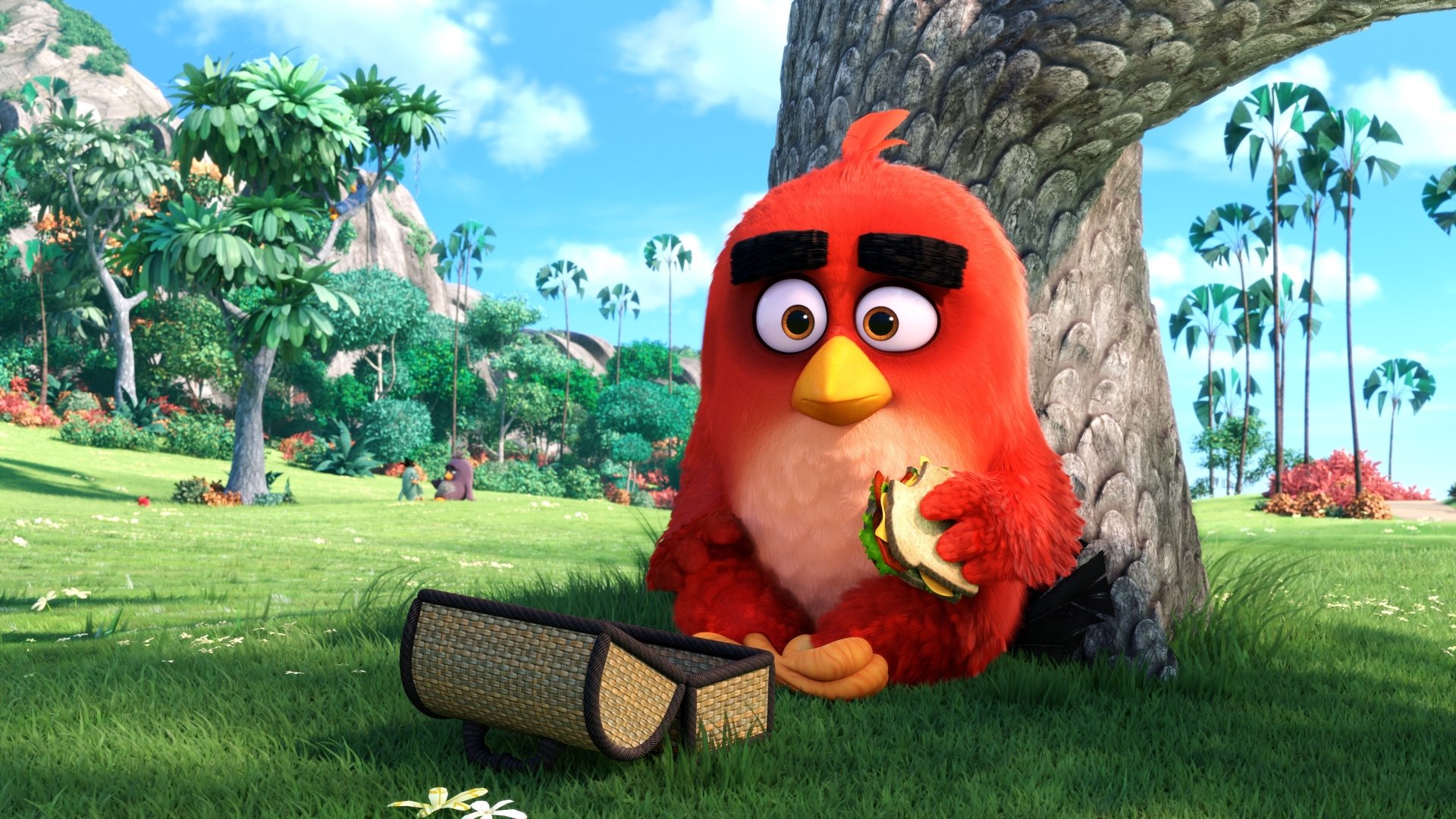 movie The Angry Birds Movie Image