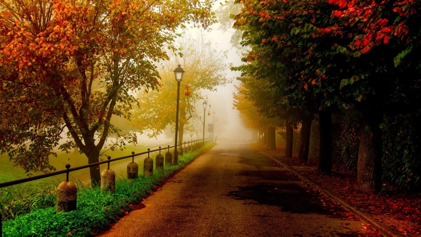 A serene road lined with trees displaying vibrant fall foliage, illuminated by a street light, creates a picturesque autumn atmosphere shrouded in soft fog.