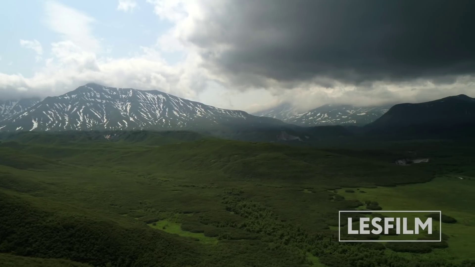 movie Kamchatka Bears. Life Begins Image
