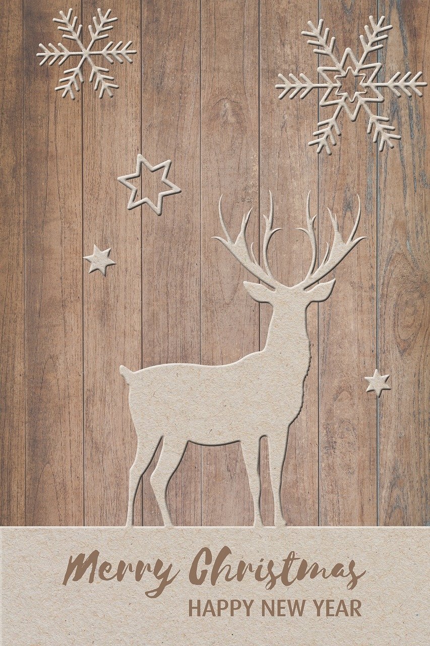  Christmas Card by Stefan Schweihofer