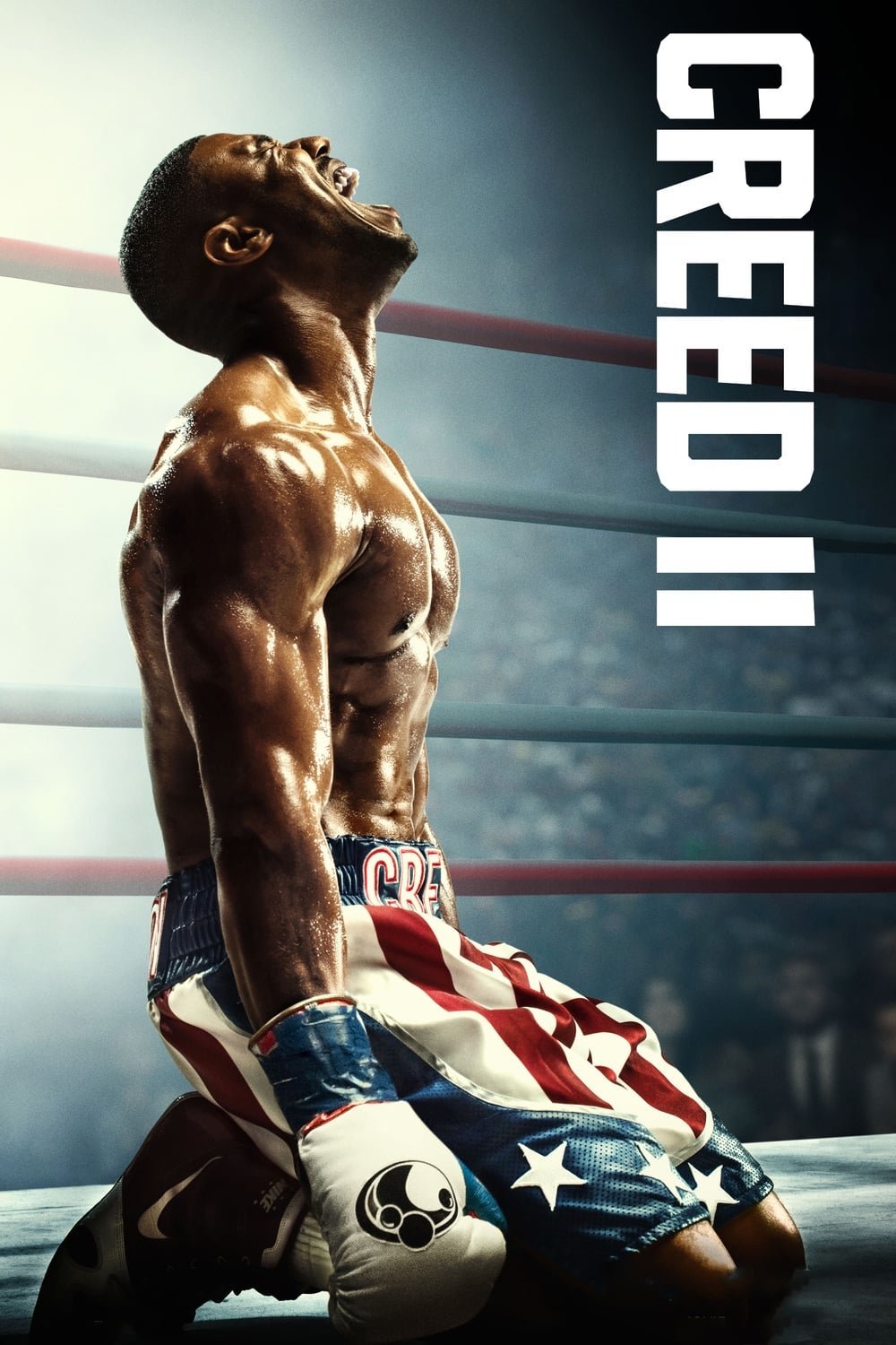 movie Creed II Image