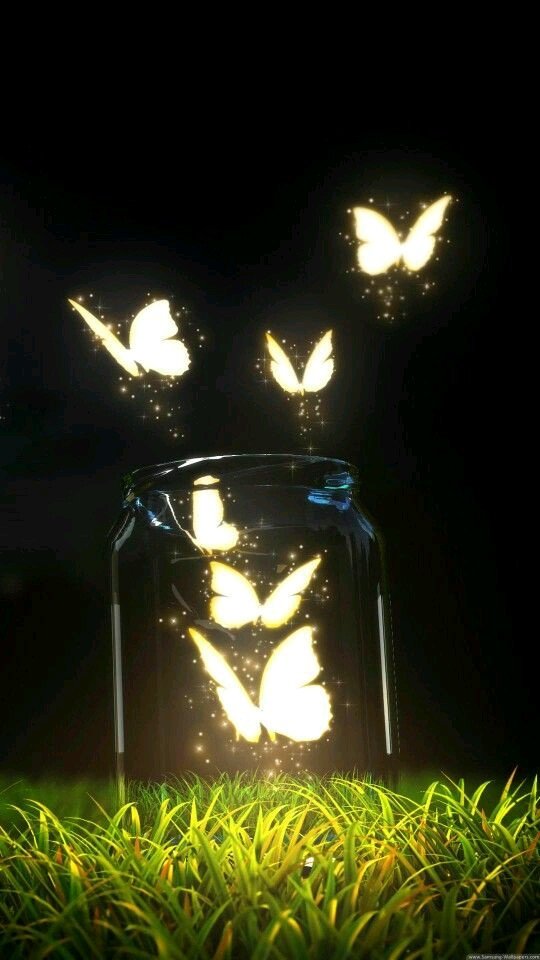 artistic butterfly Image