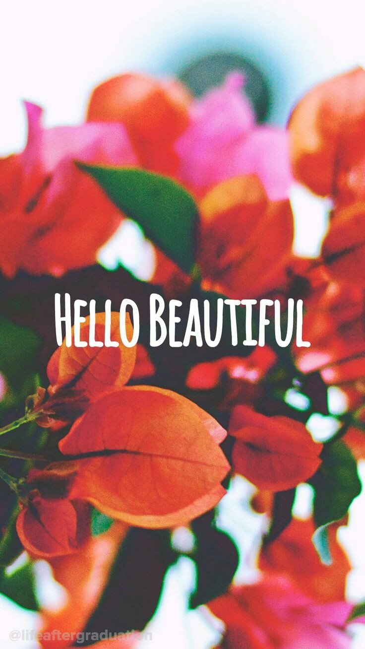 Misc statement Image