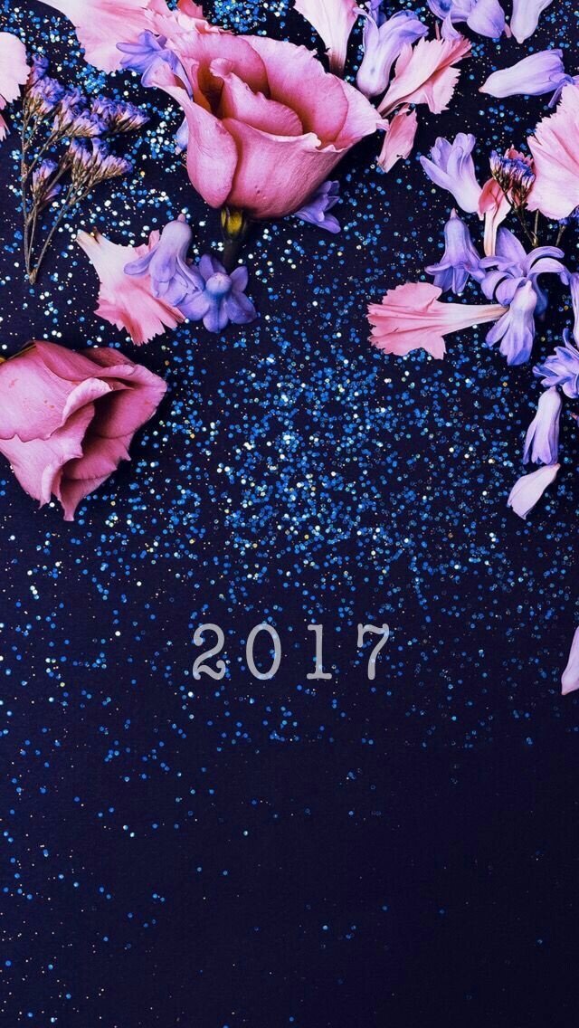 holiday New Year 2017 Image