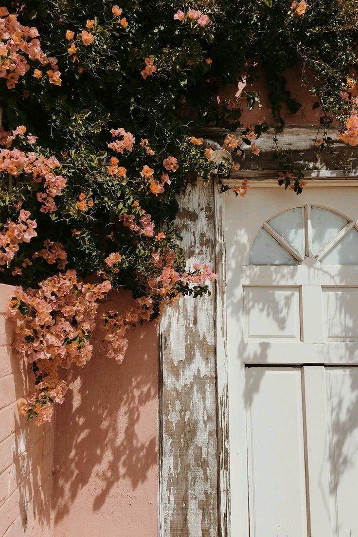 man made door Image