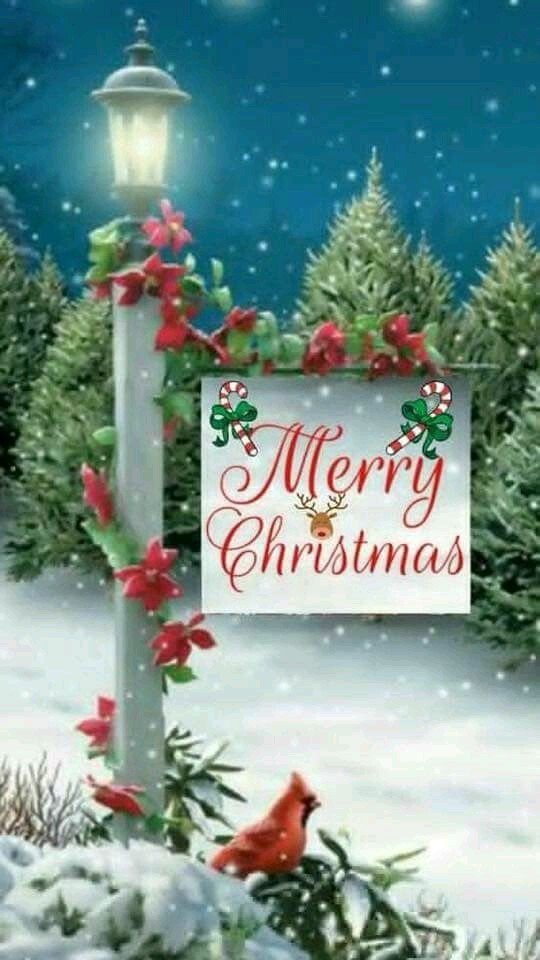 holiday Christmas Image