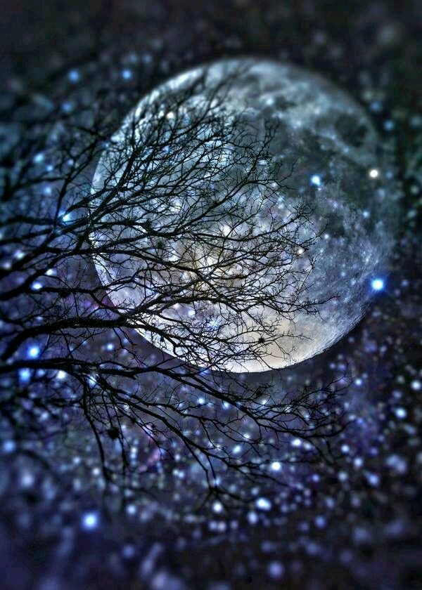 Artistic Moon Picture