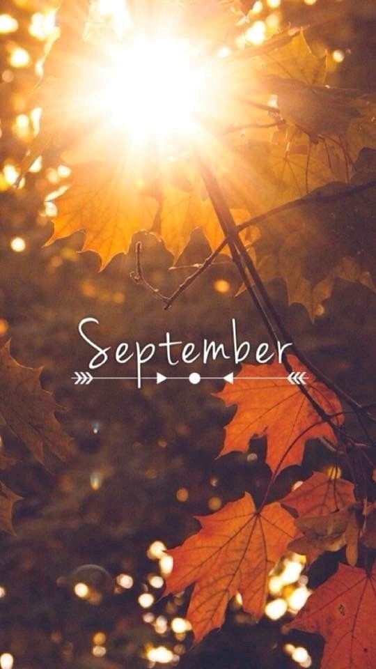 Misc calendar Image