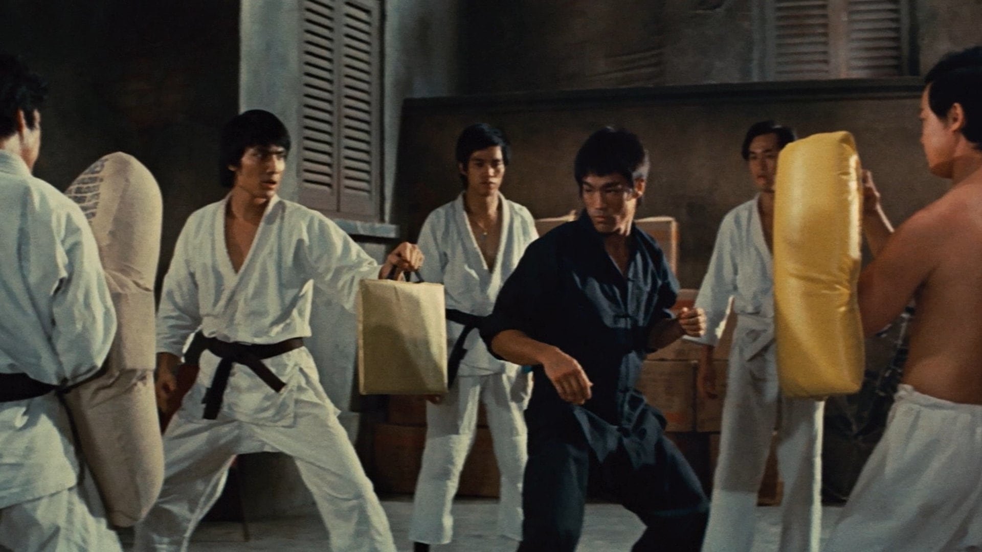 movie The Way of the Dragon Image