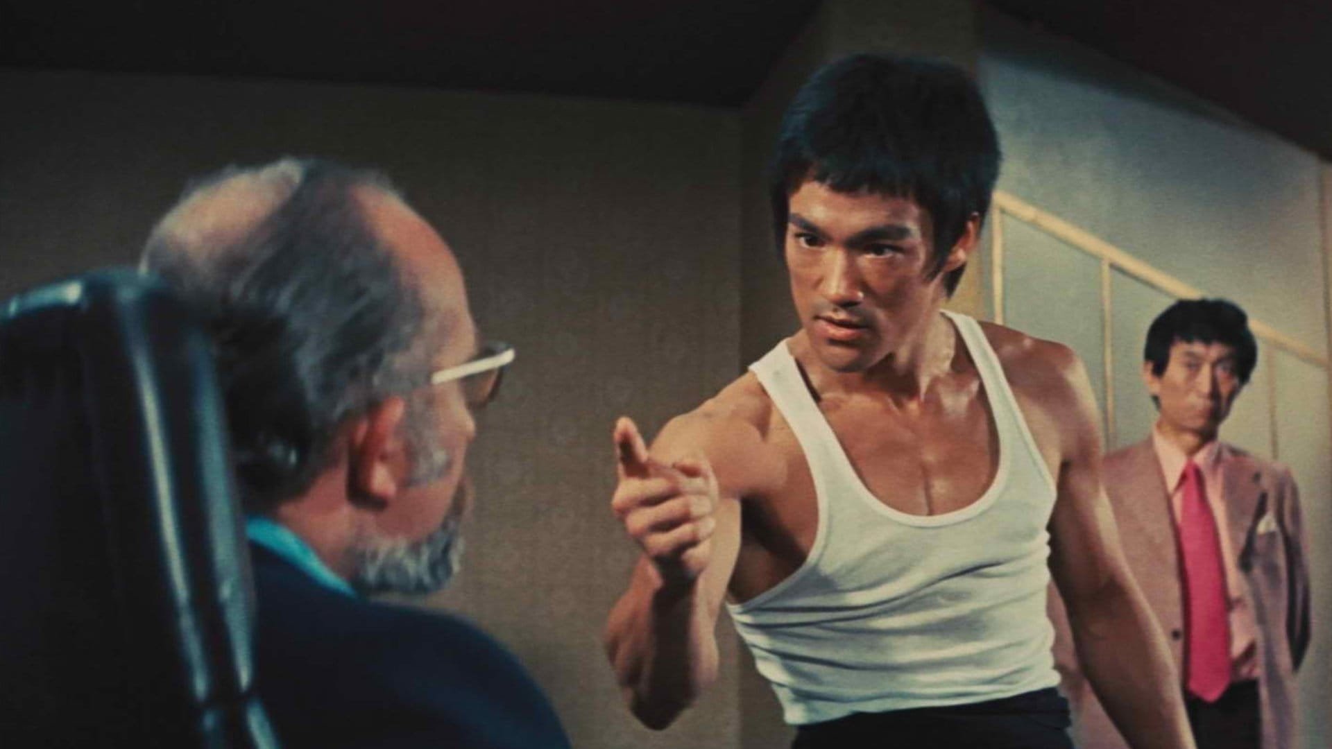 movie The Way of the Dragon Image