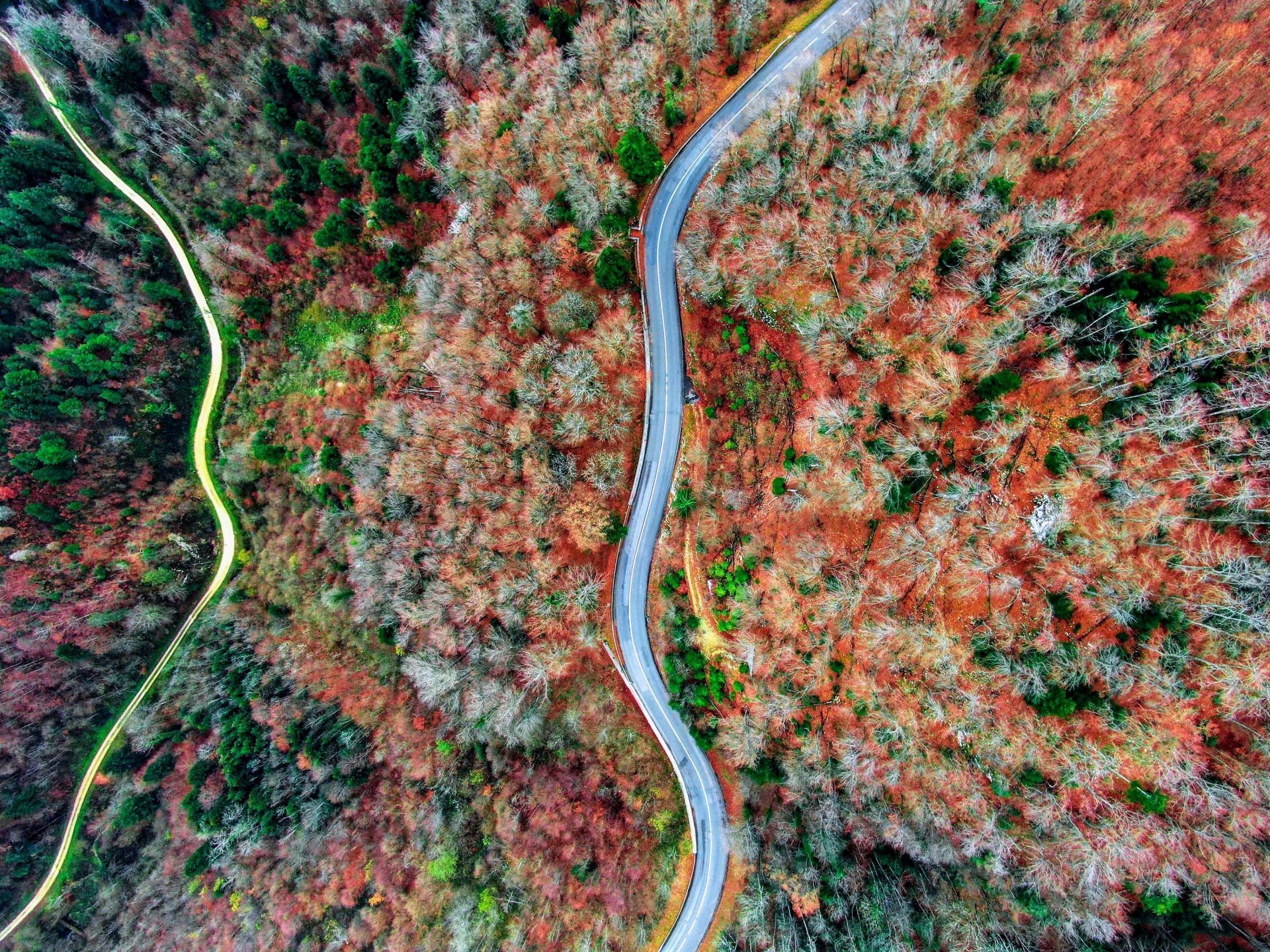 aerial man made road Image