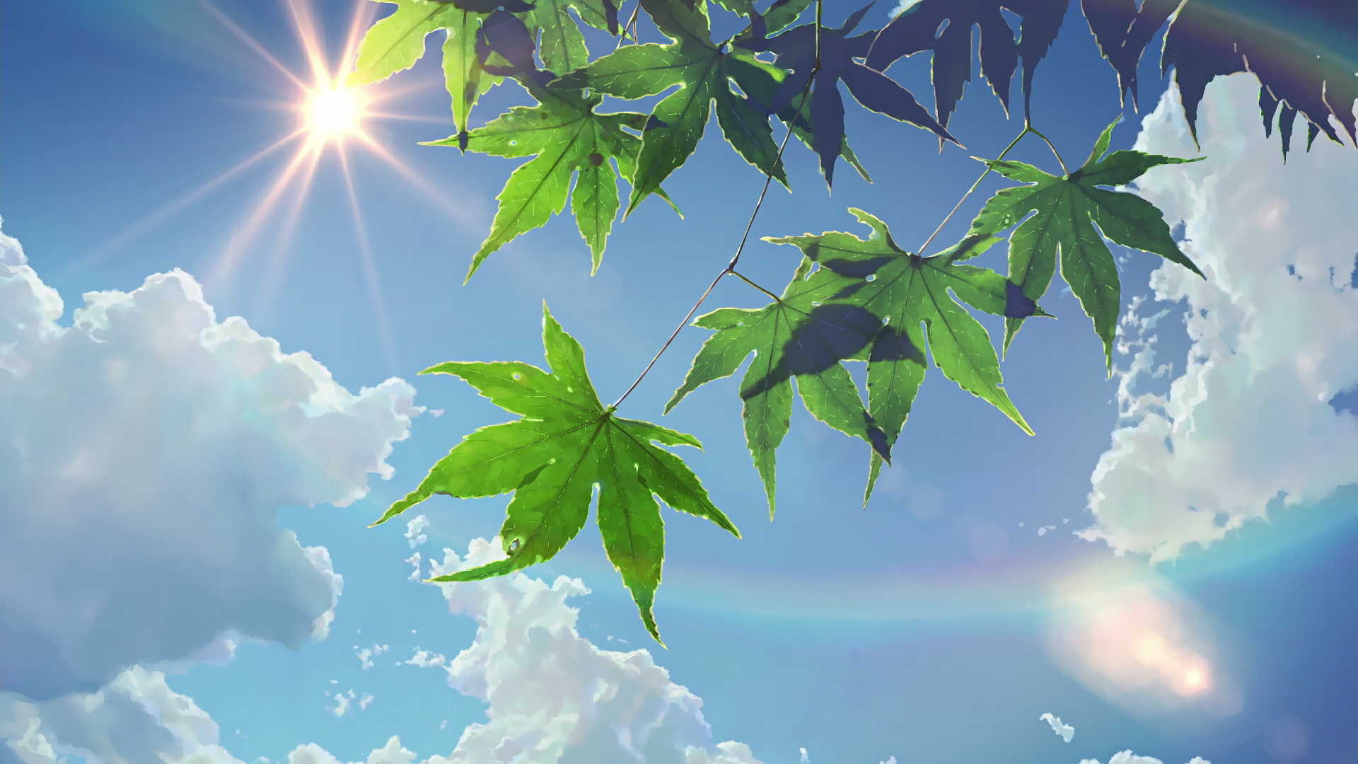 Anime scene from The Garden Of Words: sunlit maple leaves in the foreground, bright sun and rainbow halo above fluffy clouds in a vivid blue sky.
