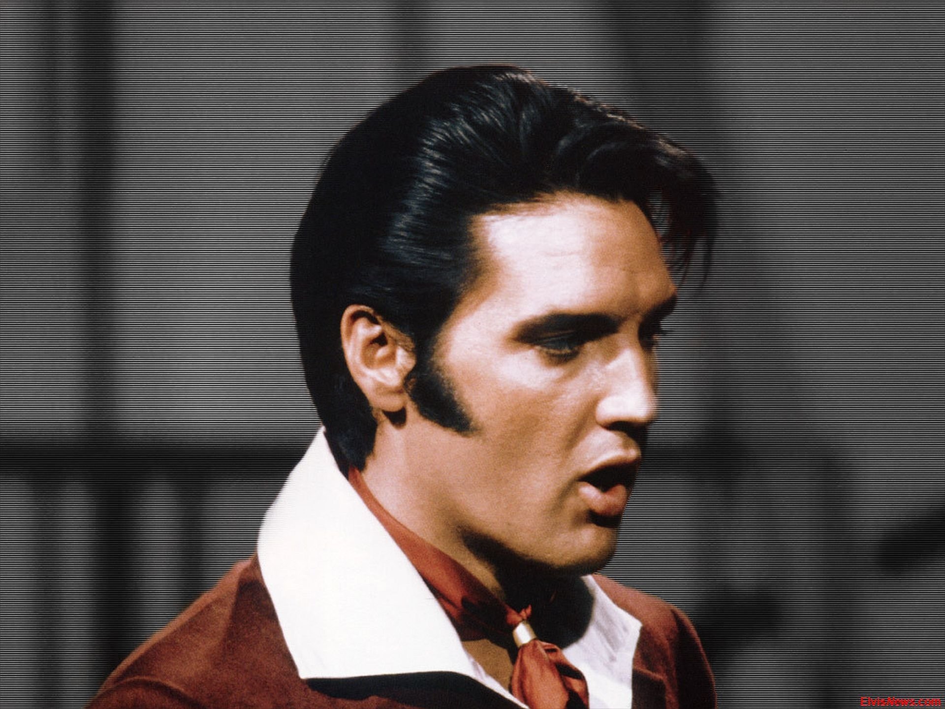 A close-up of Elvis Presley singing passionately, showcasing his iconic style and presence in the world of Rock & Roll.