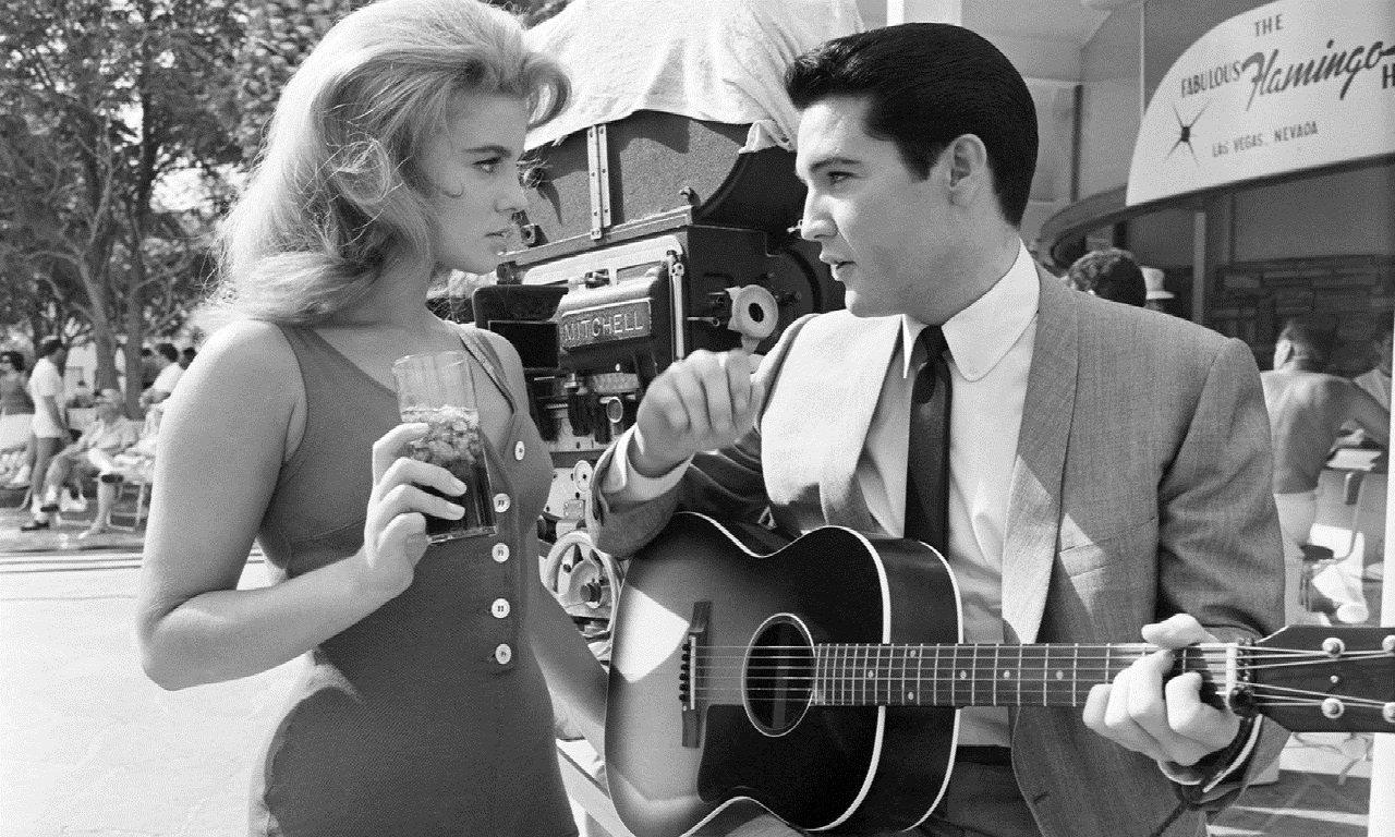  The King Elvis Presley!