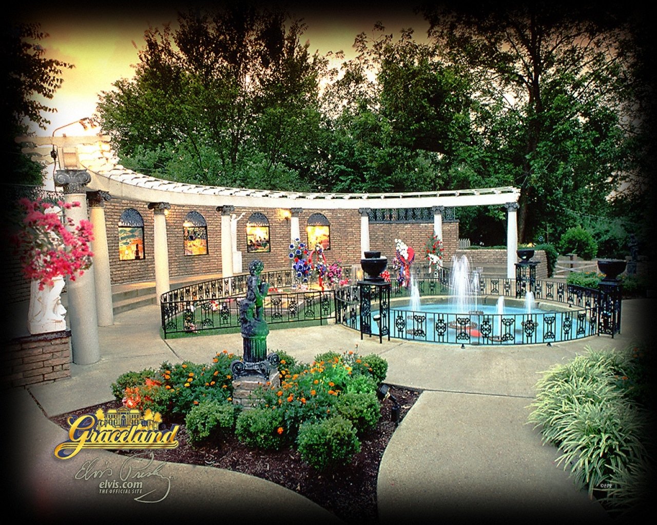  The King Elvis Presley!