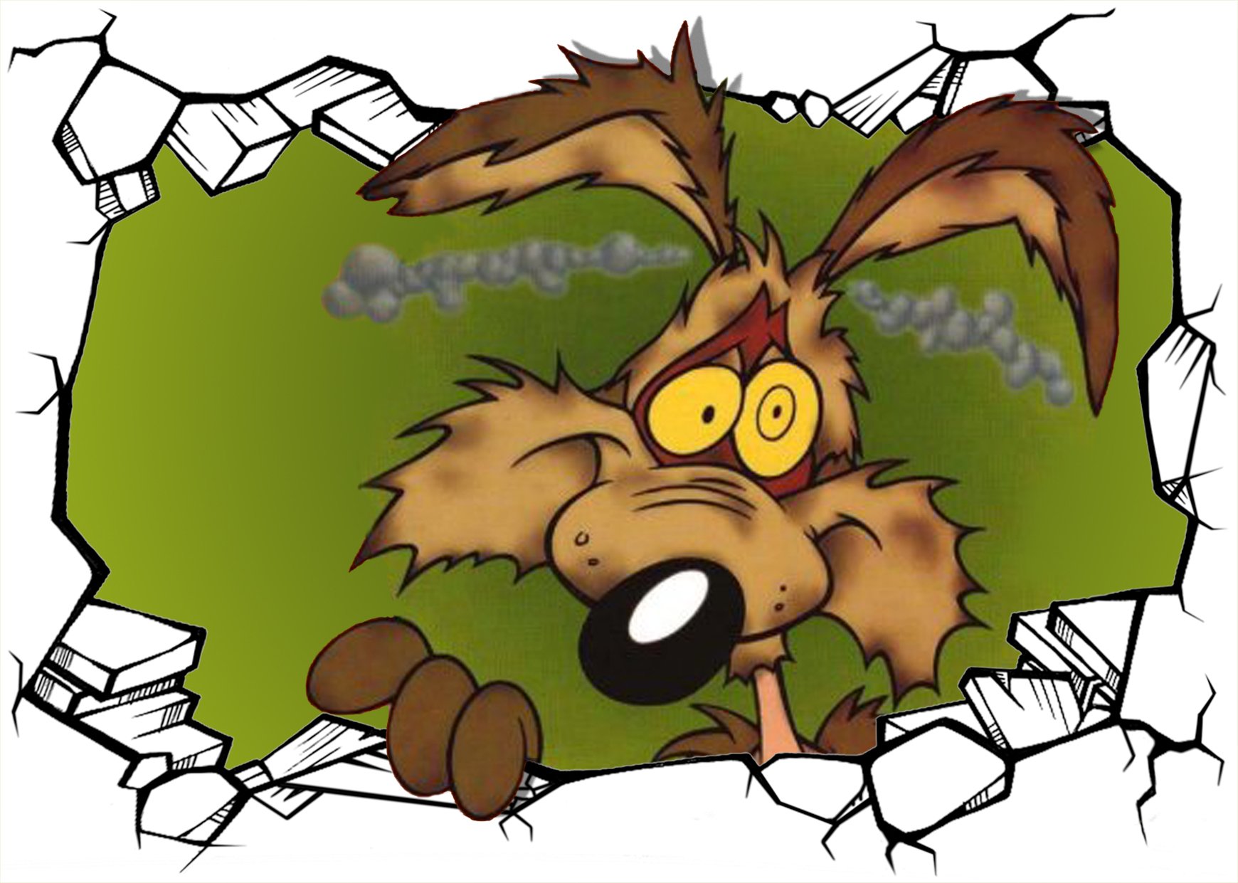Coyote character from the Looney Tunes TV show peeks through a broken wall with a surprised expression.