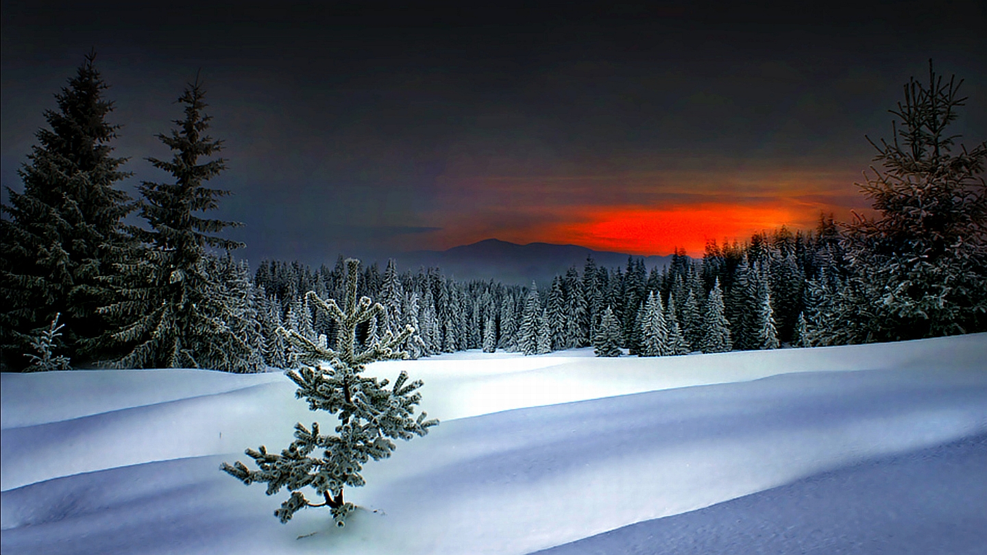 Winter Image - ID: 225109 - Image Abyss