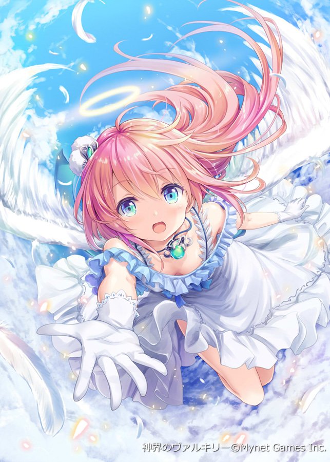 video game Valkyrie Crusade Image