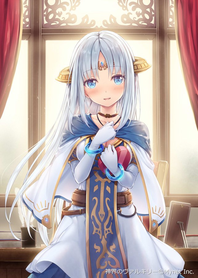 video game Valkyrie Crusade Image
