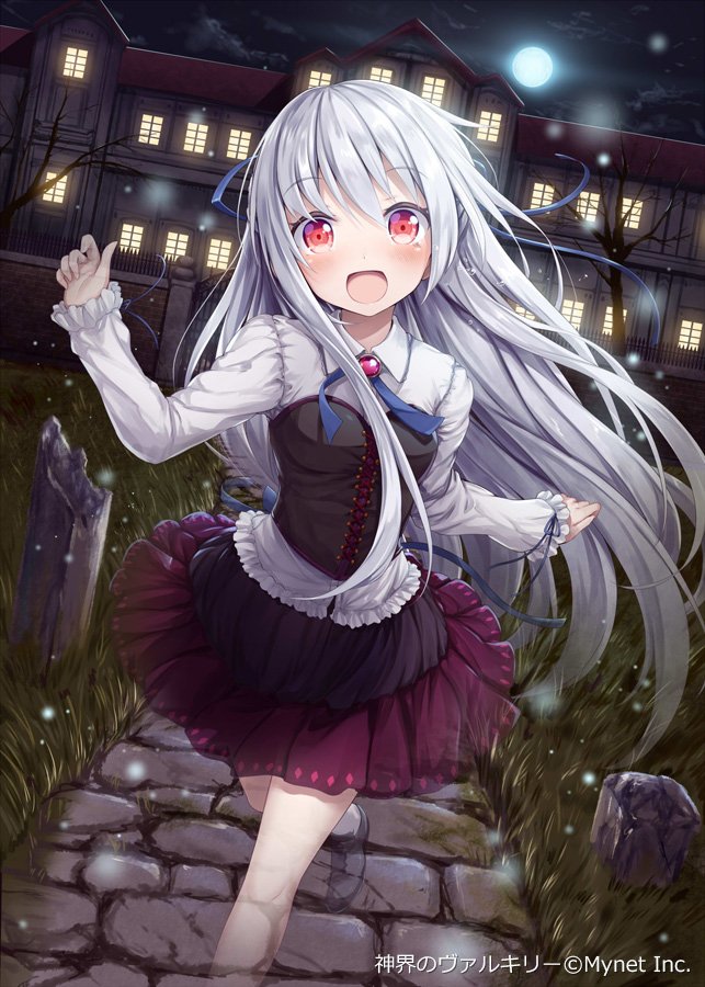 video game Valkyrie Crusade Image
