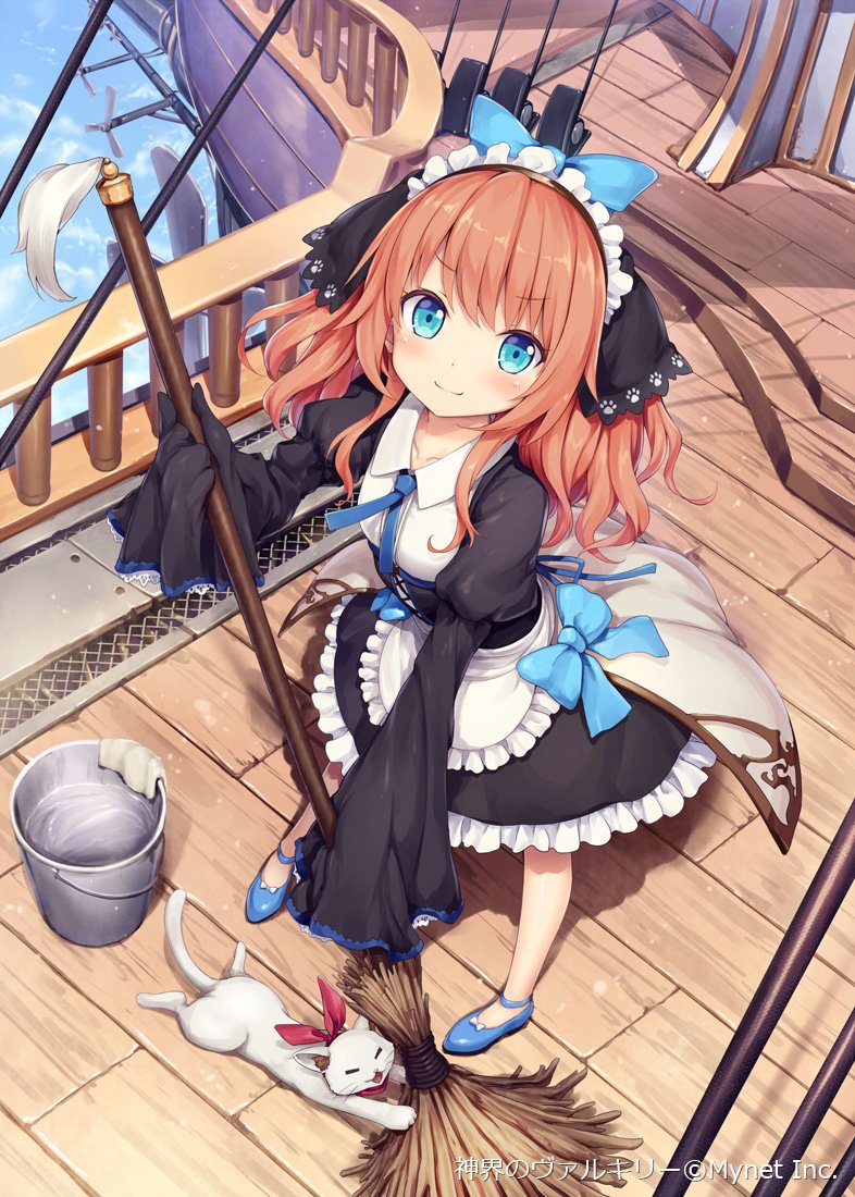 video game Valkyrie Crusade Image