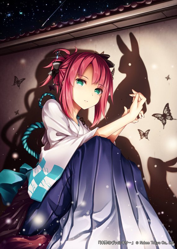 video game Valkyrie Crusade Image