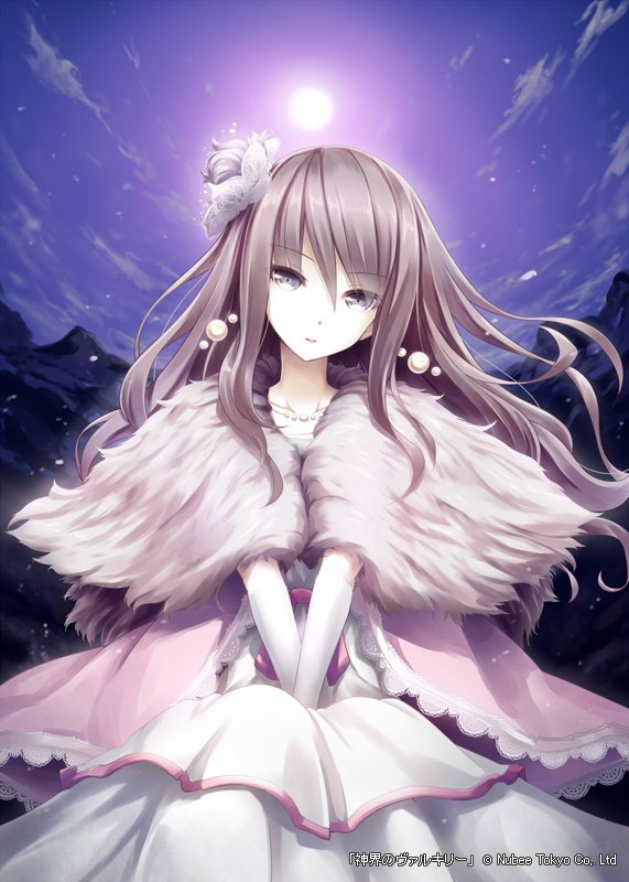 video game Valkyrie Crusade Image
