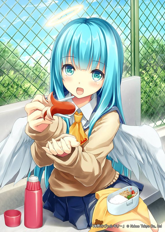video game Valkyrie Crusade Image