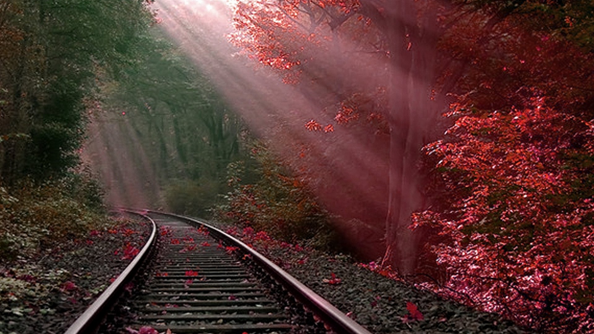  Tracks