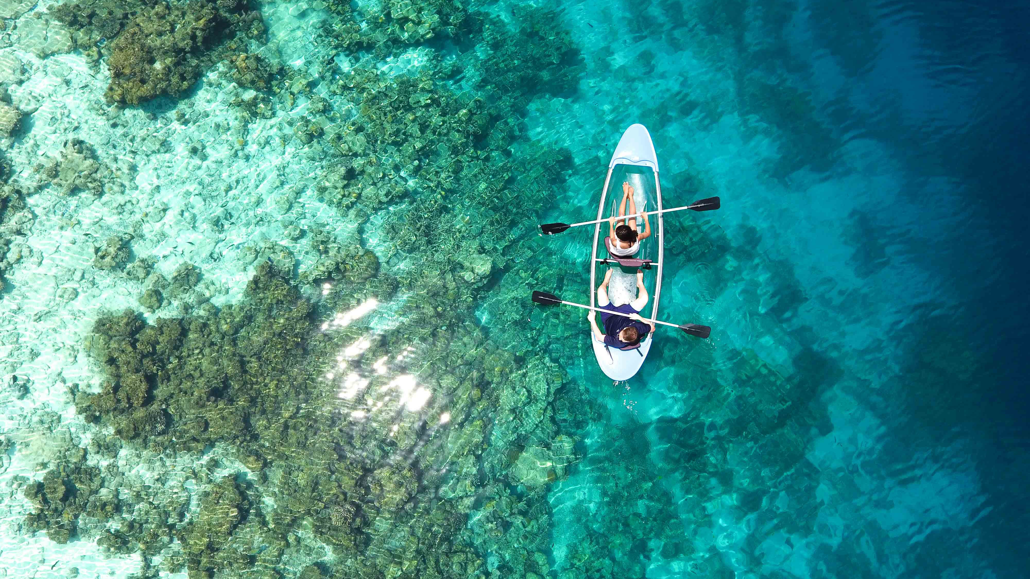 Kayak Picture