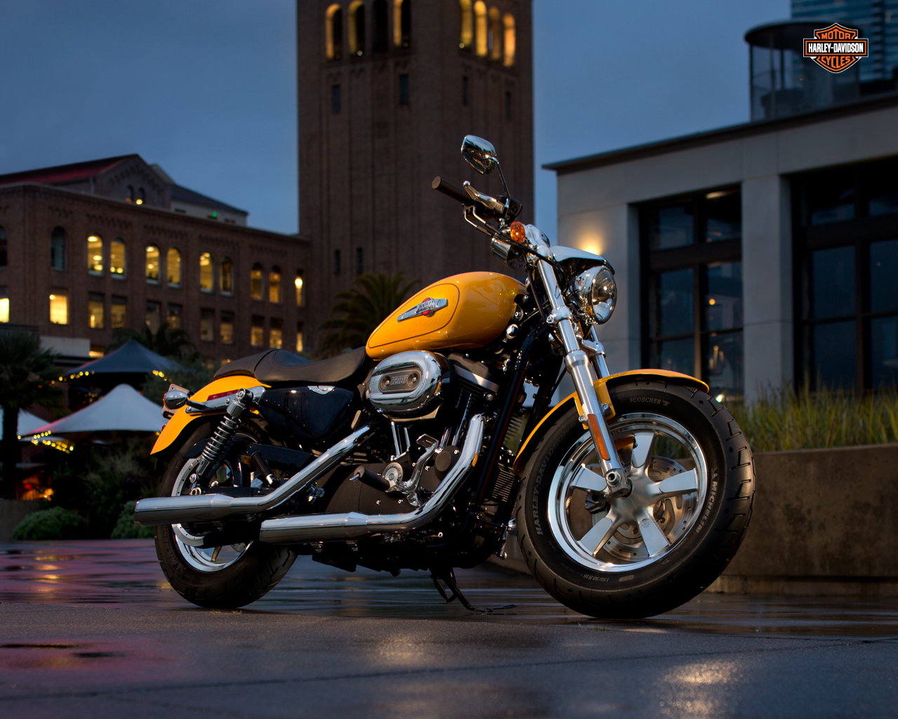 Harley davidson sportster фото