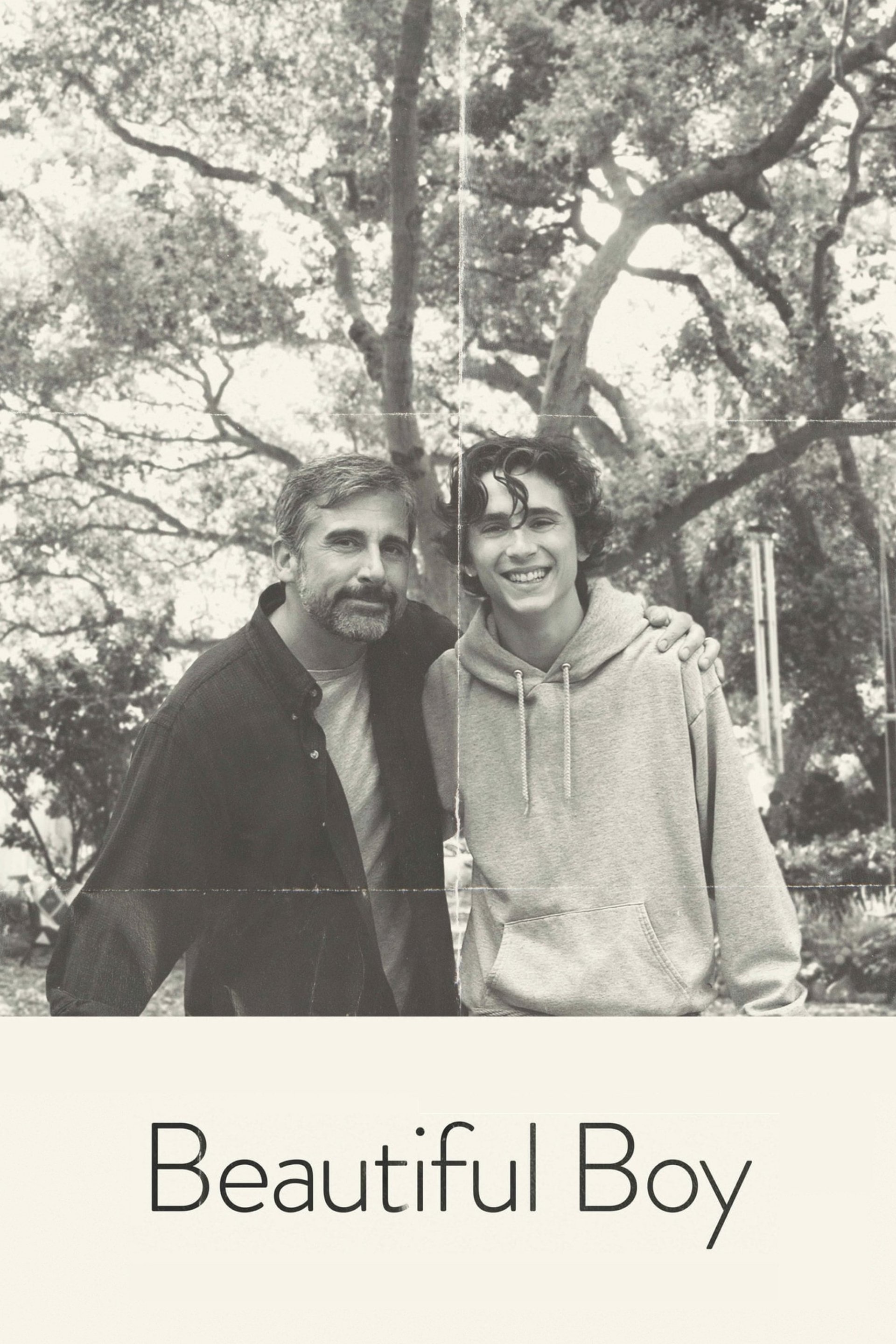 movie Beautiful Boy (2018) Image