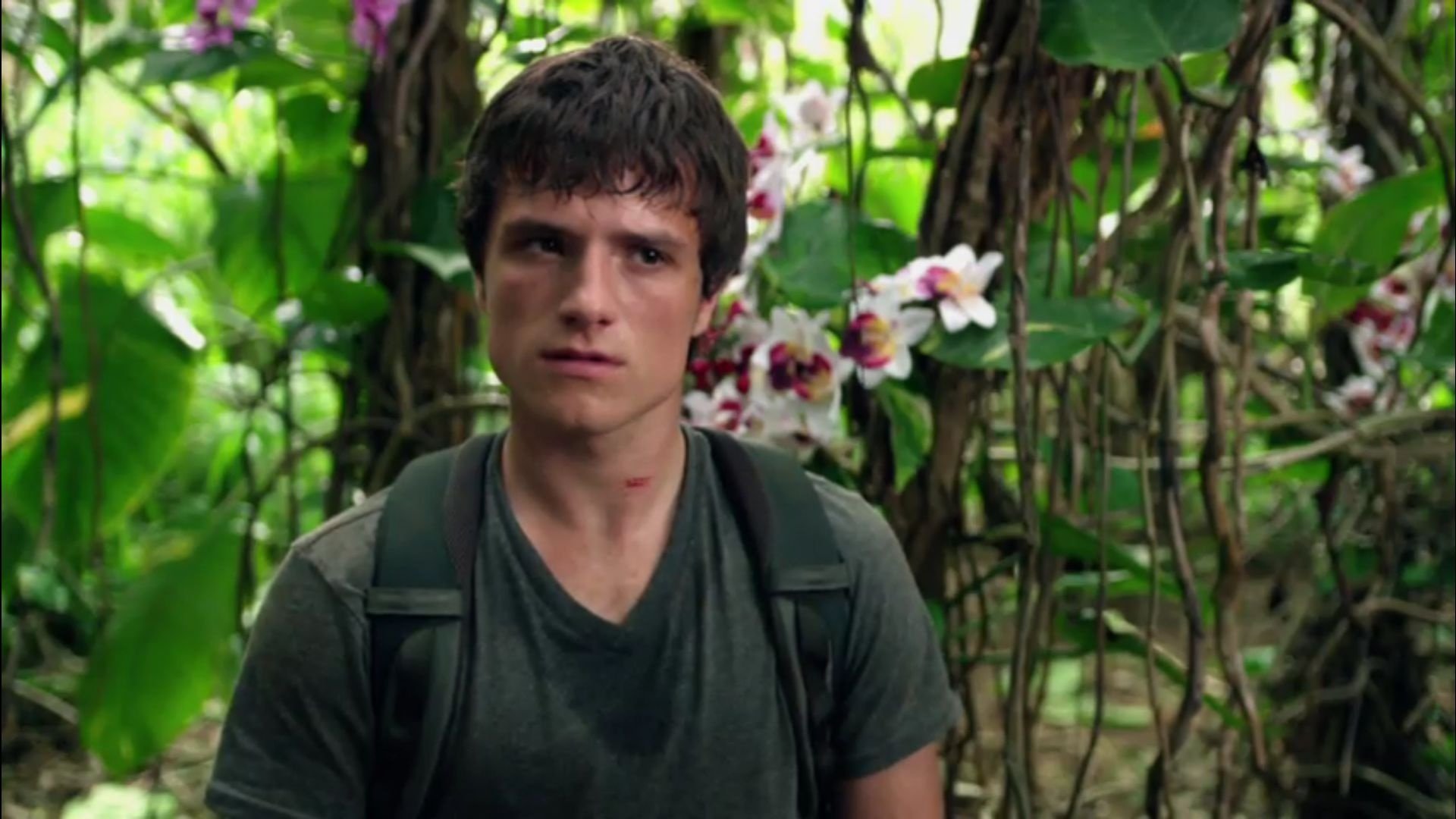 movie Journey 2: The Mysterious Island Image