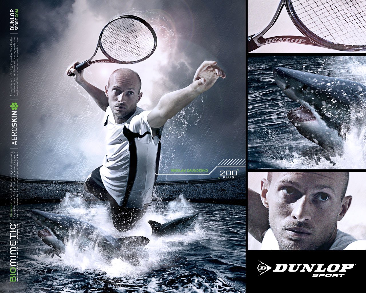 Nikolay Davydenko Sports Image