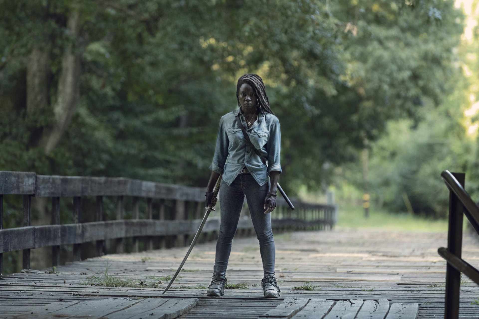 Michonne (The Walking Dead) Danai Gurira TV Show The Walking Dead Image