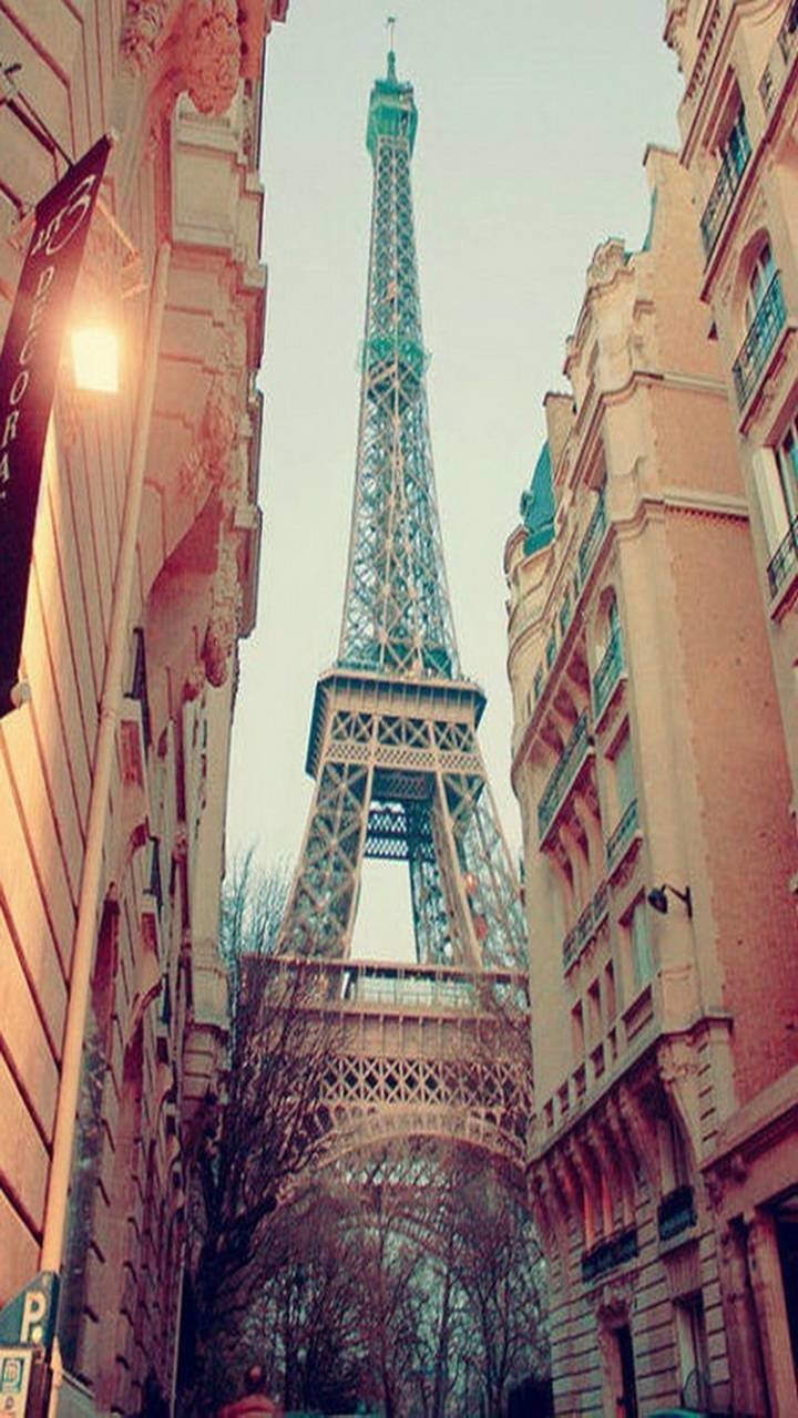 man made Eiffel Tower Image