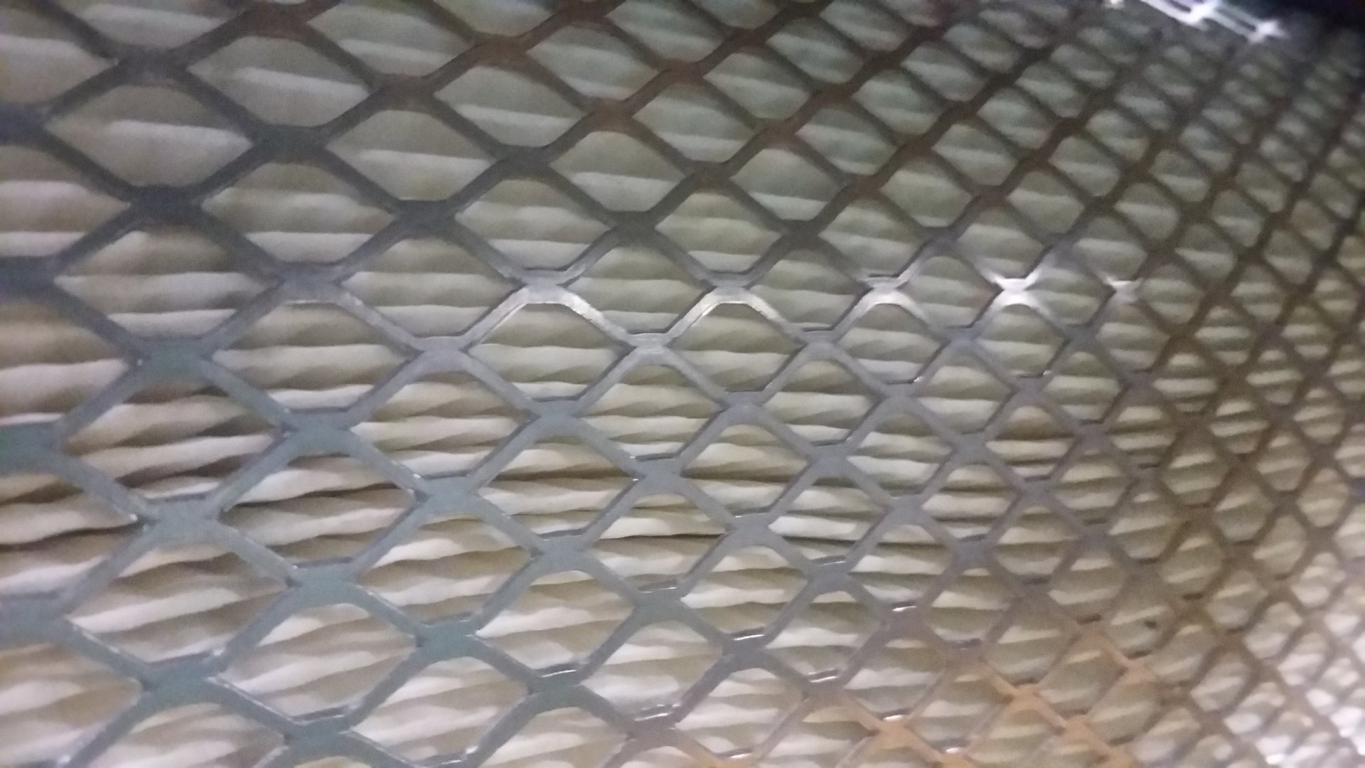 photography close-up Image