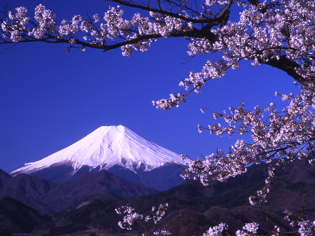 Mount Fuji Picture