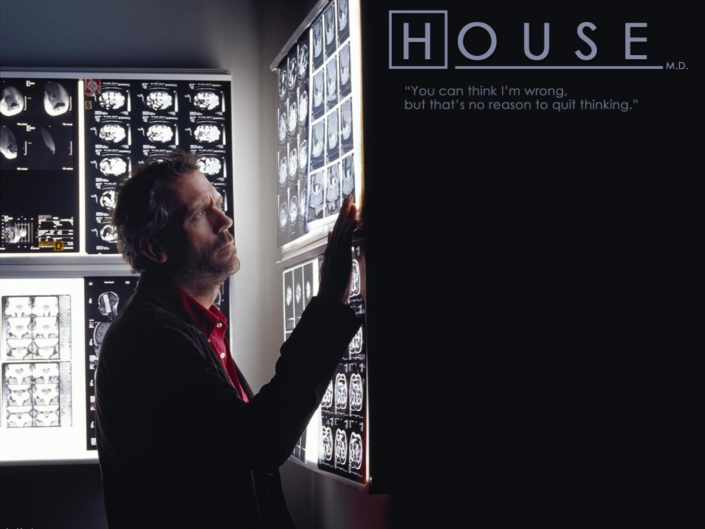 Gregory House Hugh Laurie TV Show House (2004) Image