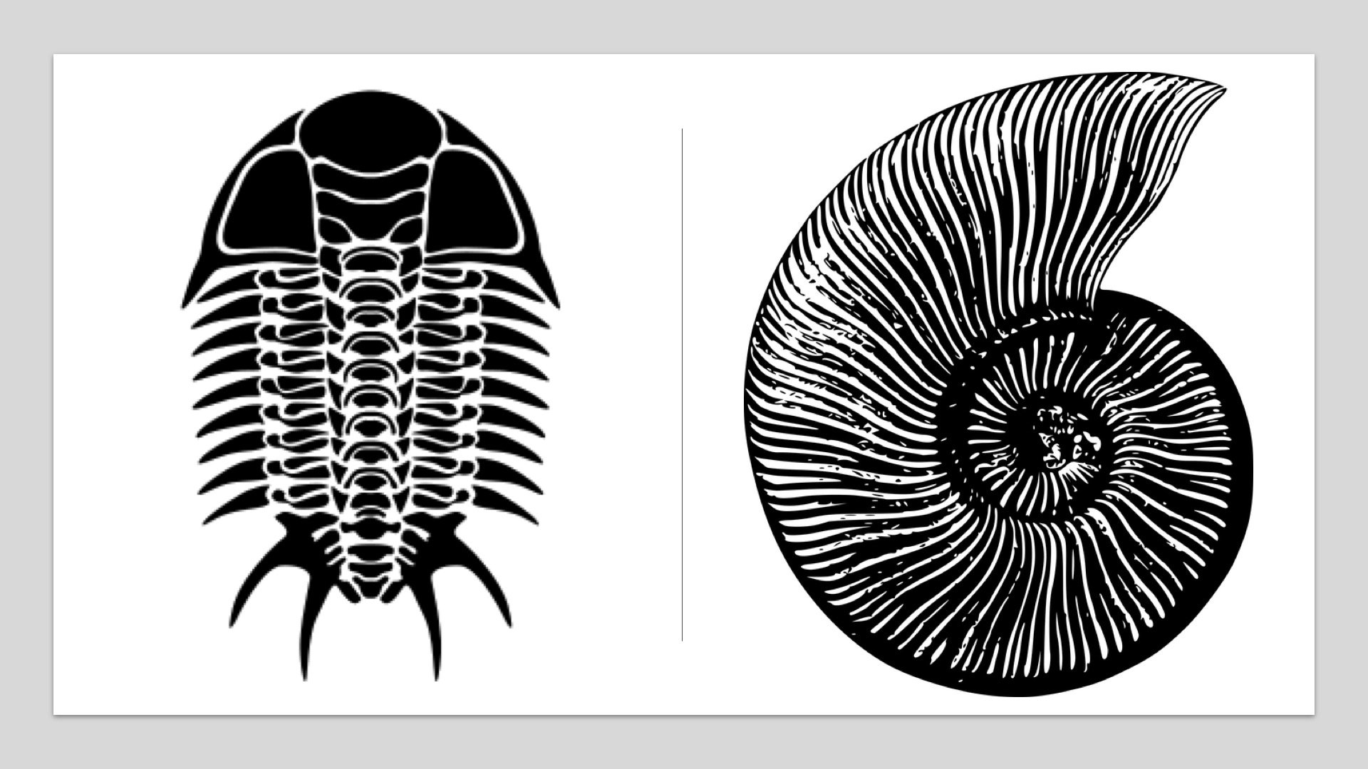 prehistoric Animal extinct Image