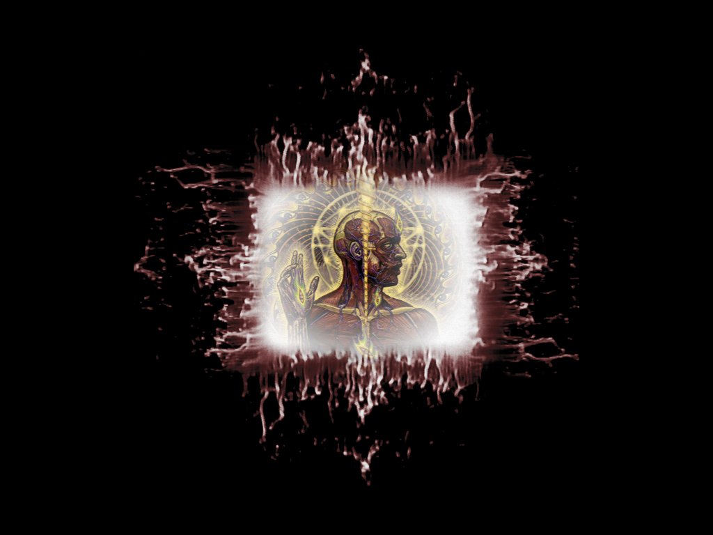 An artistic representation inspired by Tool, featuring a stylized human figure surrounded by abstract patterns, evoking the band's unique musical and visual identity.