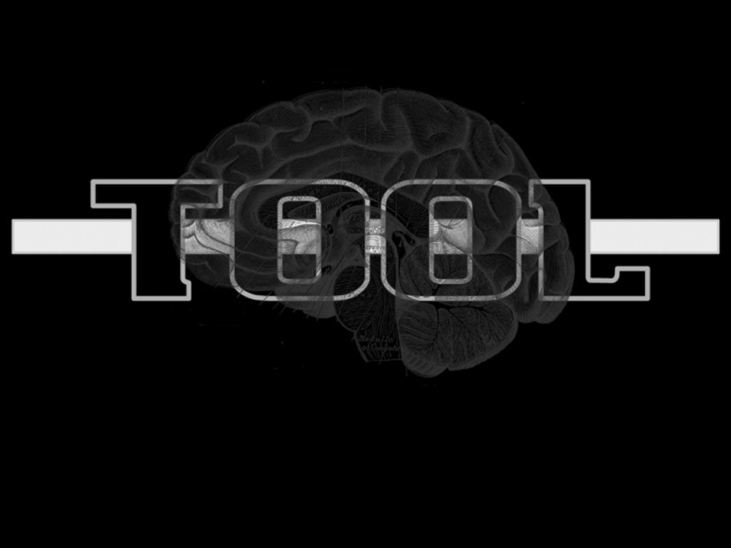 brain Tool (Music) music Tool Image