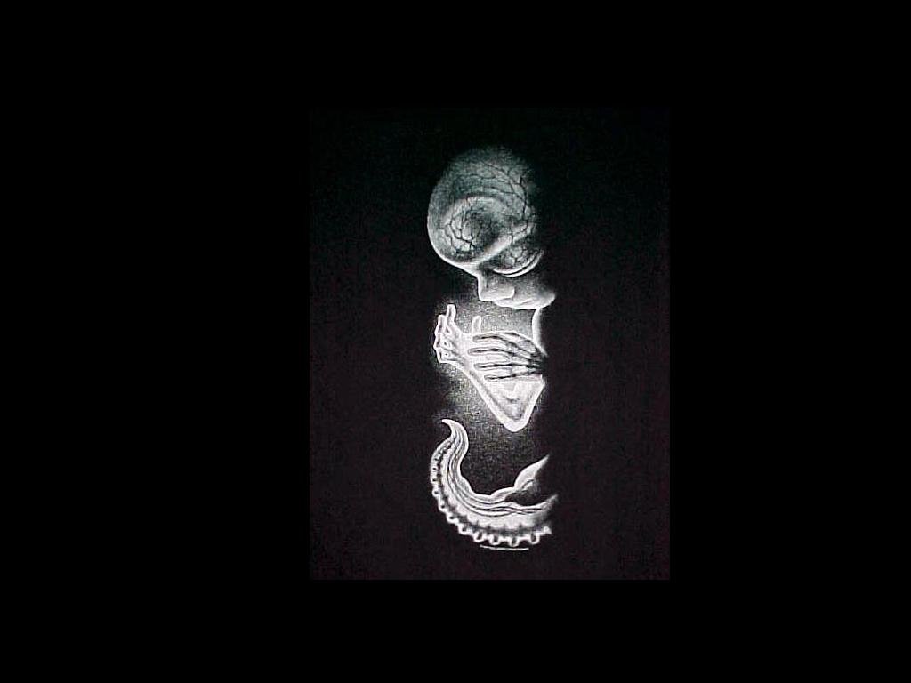 Tool (Music) artistic Other Image
