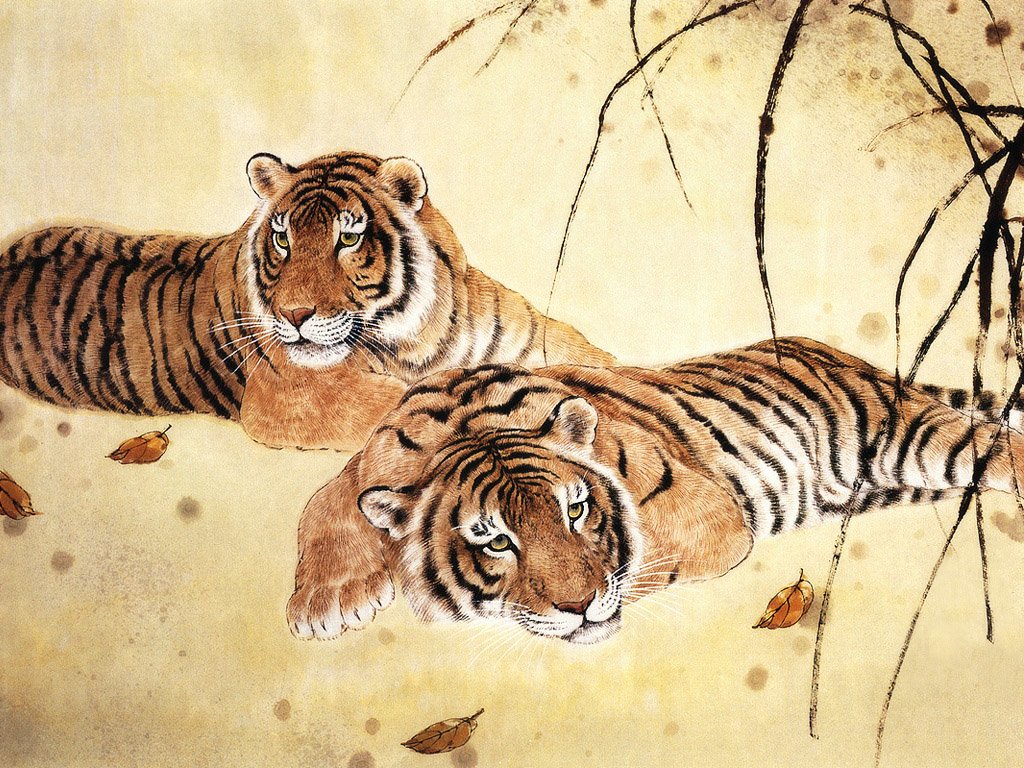 Animal tiger Image