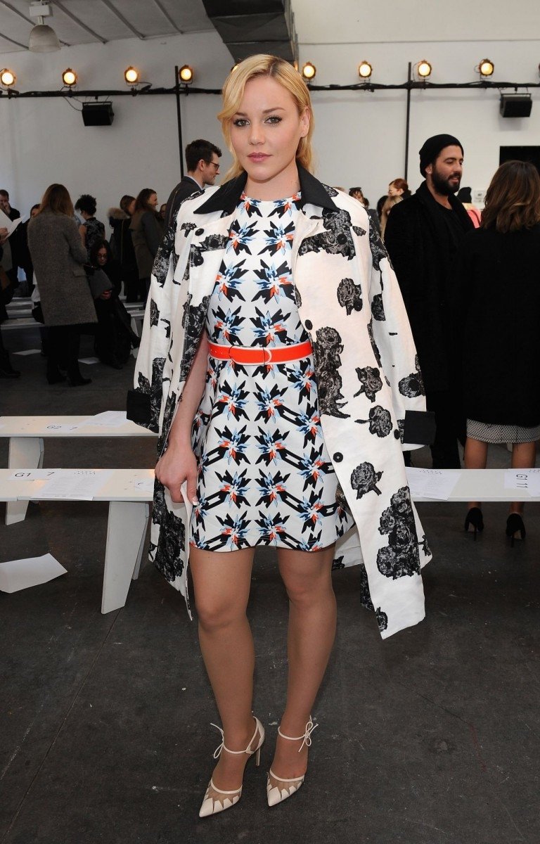 Celebrity Abbie Cornish Image