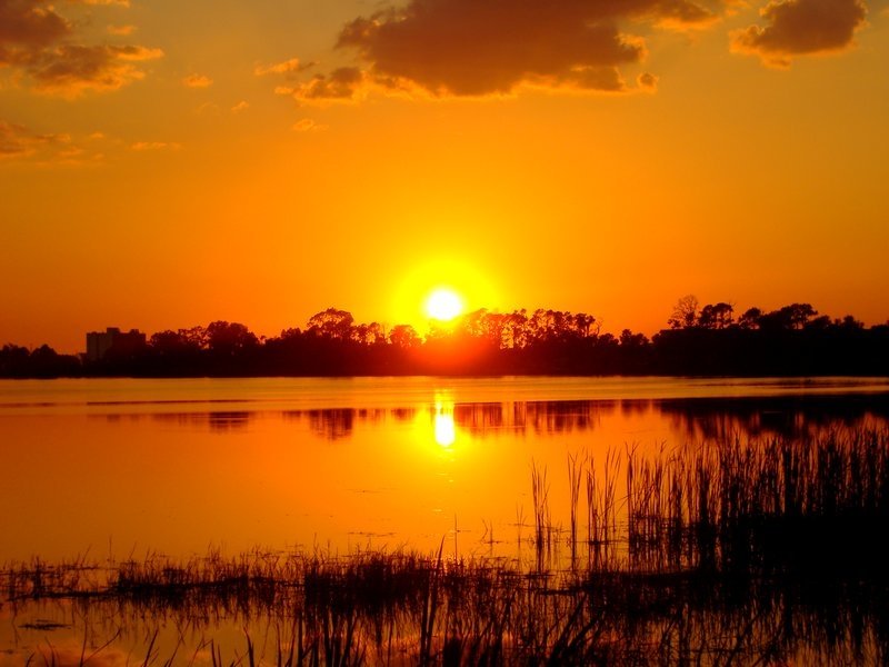 A serene lake at sunset, with the sun casting a warm golden glow over the water and silhouetted trees reflecting on the calm surface, creating a tranquil natural scene.