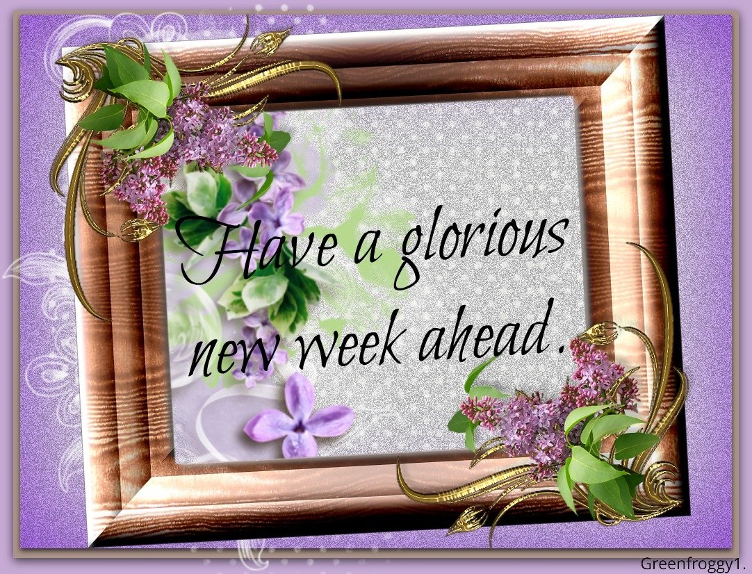 NEW WEEK by GREENFROGGY1